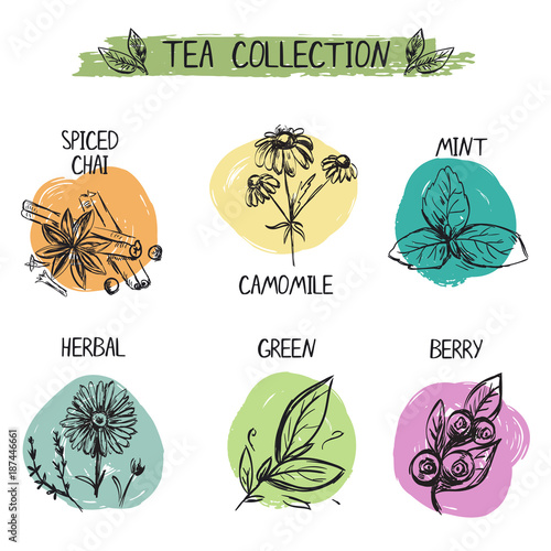 Set of diffrent tea types logos.