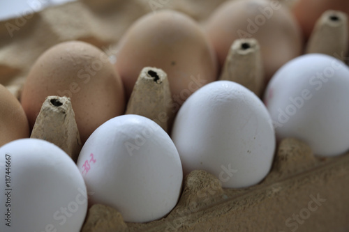 Weiße und braune Hühner Eier im Karton