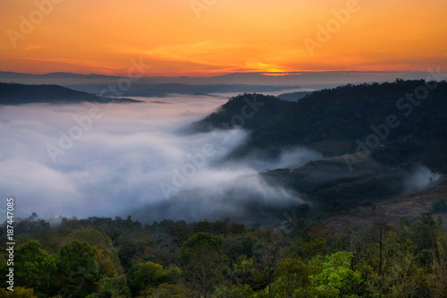 beautiful view of sea fog in morning and mountain valley landscape at phu pha nhong, loei, Thailand photo