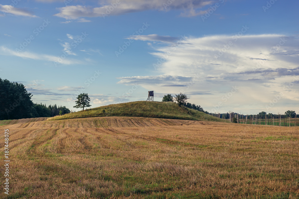 Rural landscape with wooden hunting tower in Masurian Lakeland region of Poland