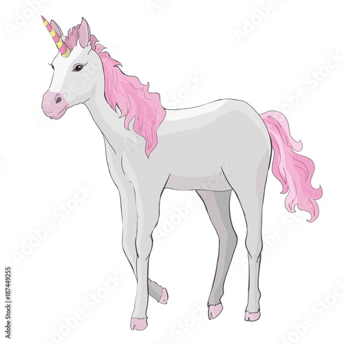 Unicorn vector icon isolated on white. Head portrait horse sticker, patch badge. Cute magic cartoon fantasy cute animal. Rainbow hair. Dream symbol. Design for children photo