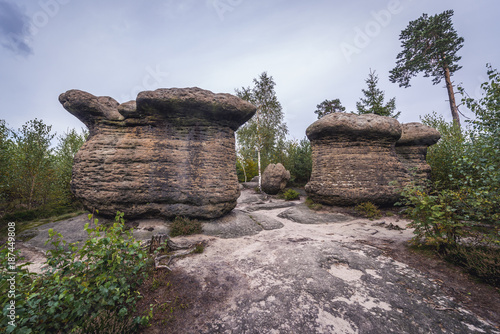 Mushroom rocks in Broumov Walls mountain range in Czech Republic