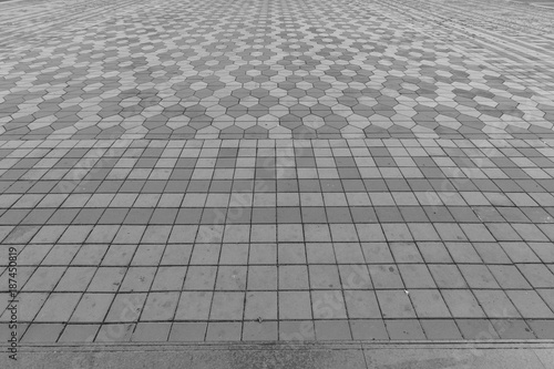 Obraz na płótnie Pave Clay tiled walkway. w salonie