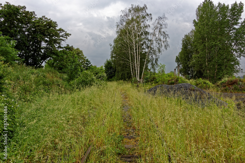 rail tracks overgrown in green grass