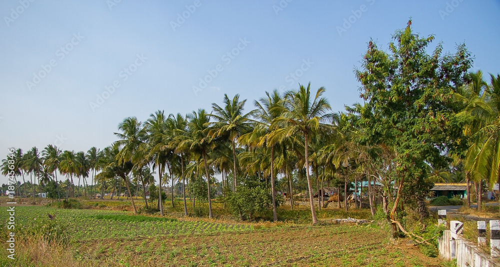 Landscape of Southern India farmland Landscape of Southern India farmland