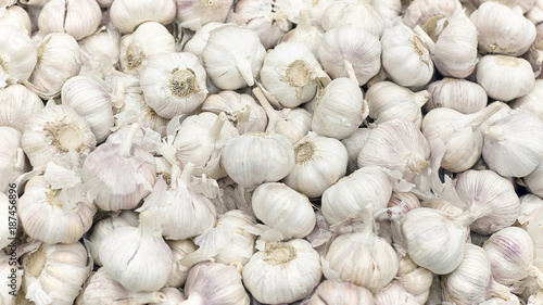 A bunch of fresh white garlic.