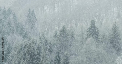 Dreamy heavy snowfall over the forest in slow-motion 4K photo