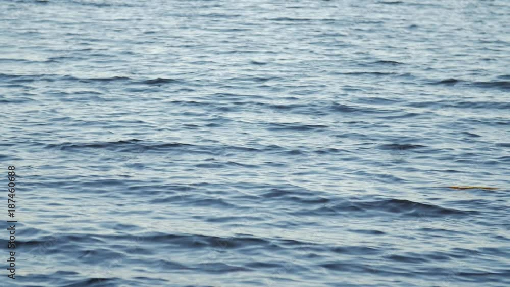 close up of waving water surface of lake, low angle shot. close up of waving water surface of lake, low angle shot.
