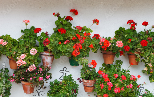 Fototapeta Naklejka Na Ścianę i Meble -  Beautiful house with with pots on their windows