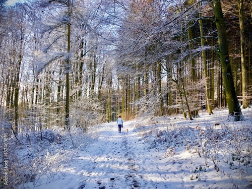 Wallpaper Mural Person walking away down a snowy winter road Torontodigital.ca