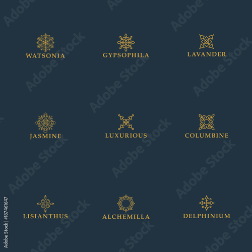 Set of luxury logo templates. Geometric stylized elements for ornaments, monogram, restaurant, floral, wedding vector design.