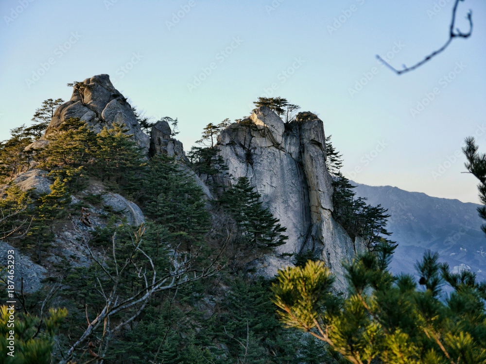 Big rock and a forest with coniferous trees  in korean mountains. Seoraksan National Park
