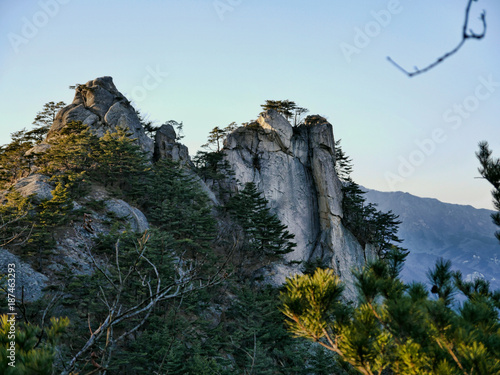 Big rock and a forest with coniferous trees in korean mountains. Seoraksan National Park