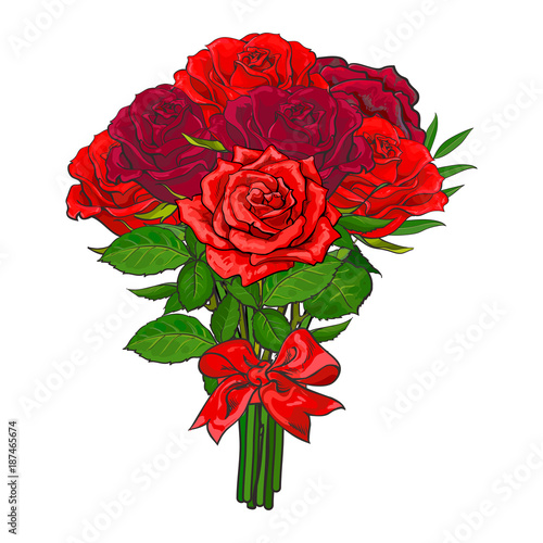 Bunch, bouquet of red rose flowers tied up with scarlet ribbon, sketch, hand drawn vector illustration isolated on white background. Hand-drawn vector bunch of red rose flowers tied up with ribbon
