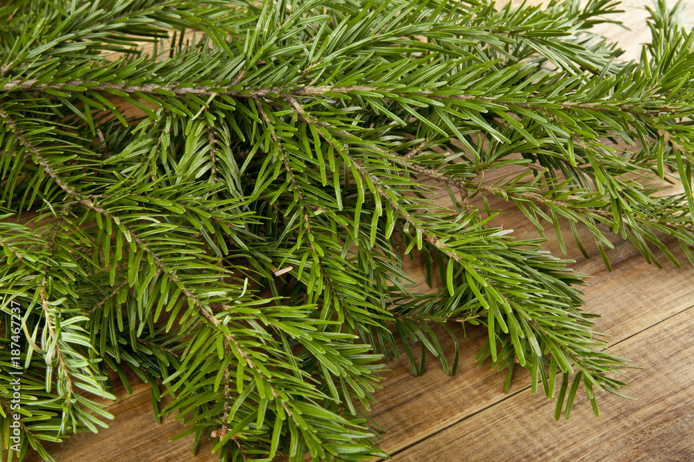 branch of a tree on a wooden background branch of a tree on a wooden background