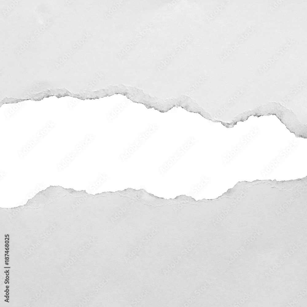 torn paper torn paper