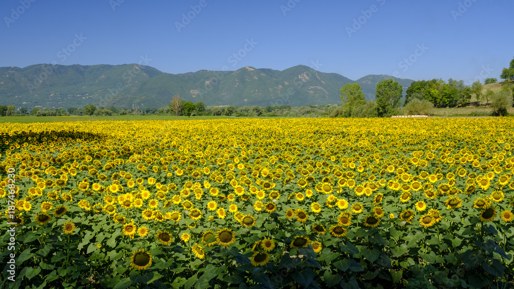 Country landscape between Rieti (Lazio) and Terni (Umbria)