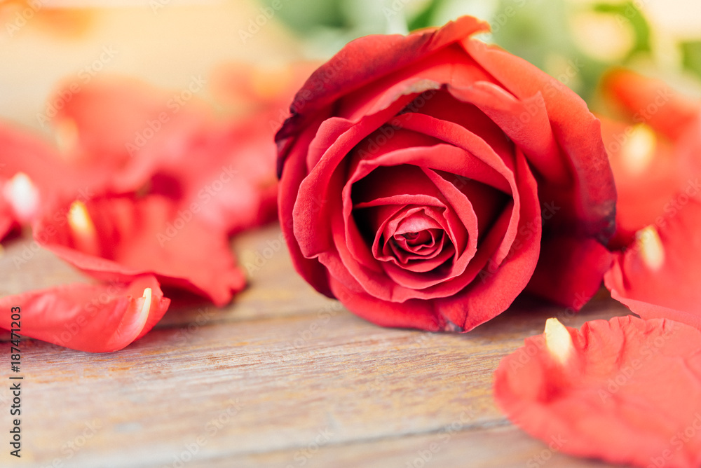 Red rose flower on wooden floor in Valentine's Day Red rose flower on wooden floor in Valentine's Day
