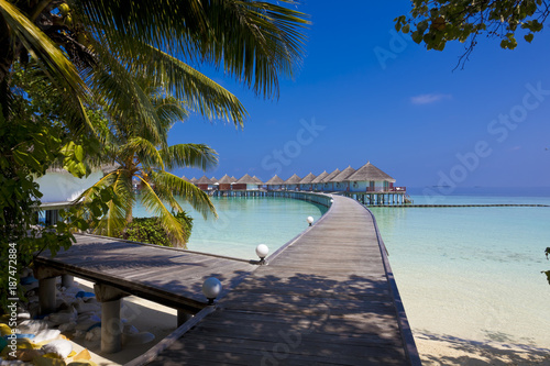 Fototapeta Naklejka Na Ścianę i Meble -  Wasserbungalows auf den Malediven
