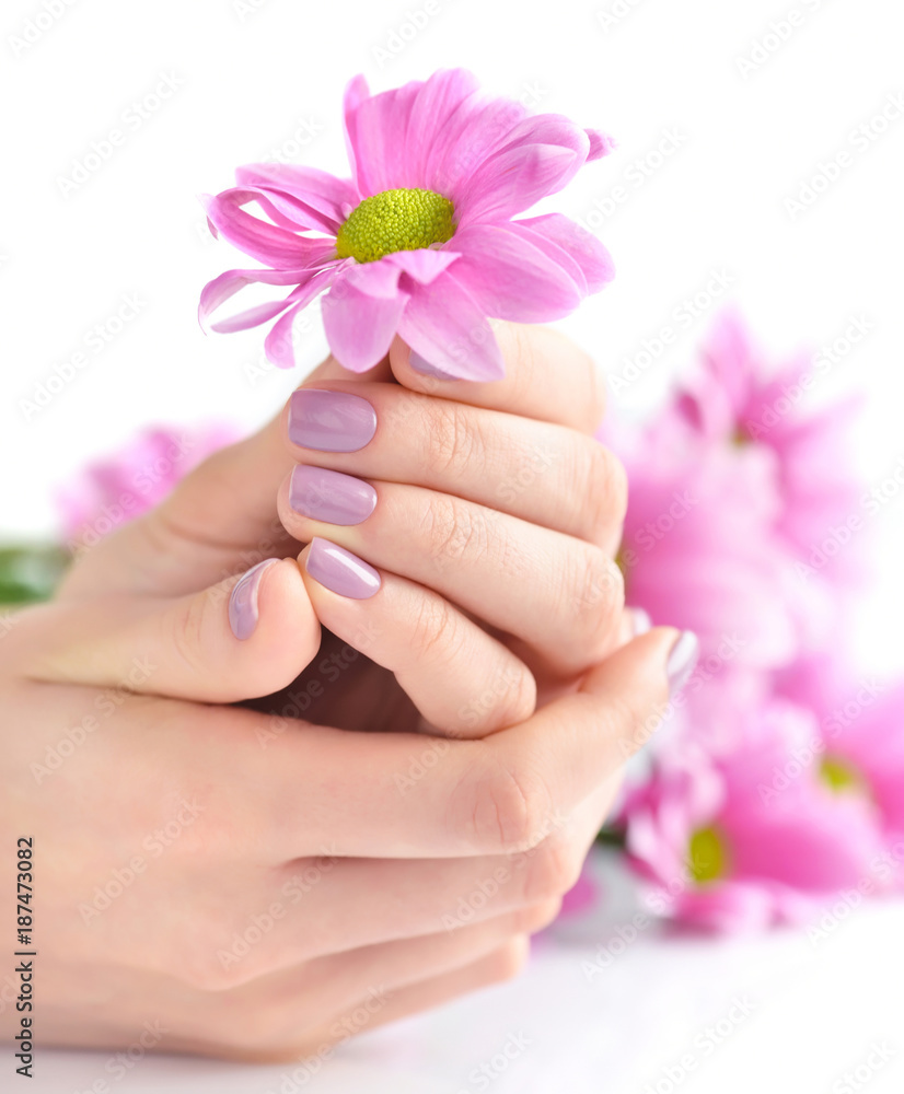 Hands of a woman with pink manicure on nails and pink flowers on a white background Hands of a woman with pink manicure on nails and pink flowers on a white background