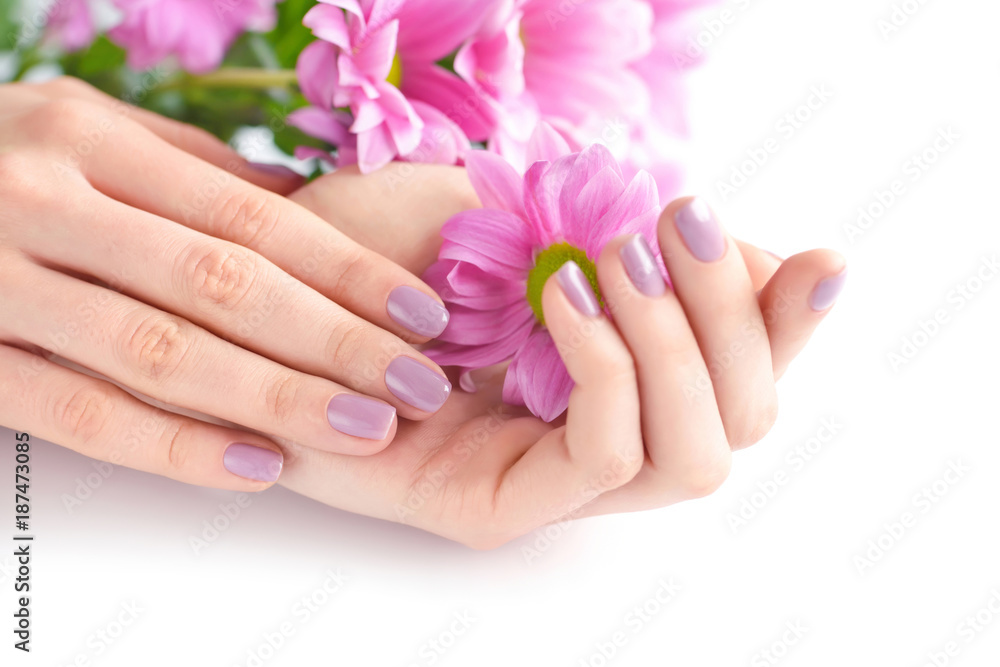 Hands of a woman with pink manicure on nails and pink flowers on a white background Hands of a woman with pink manicure on nails and pink flowers on a white background