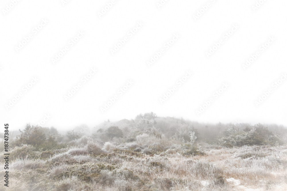 Foggy winter landscape Foggy winter landscape