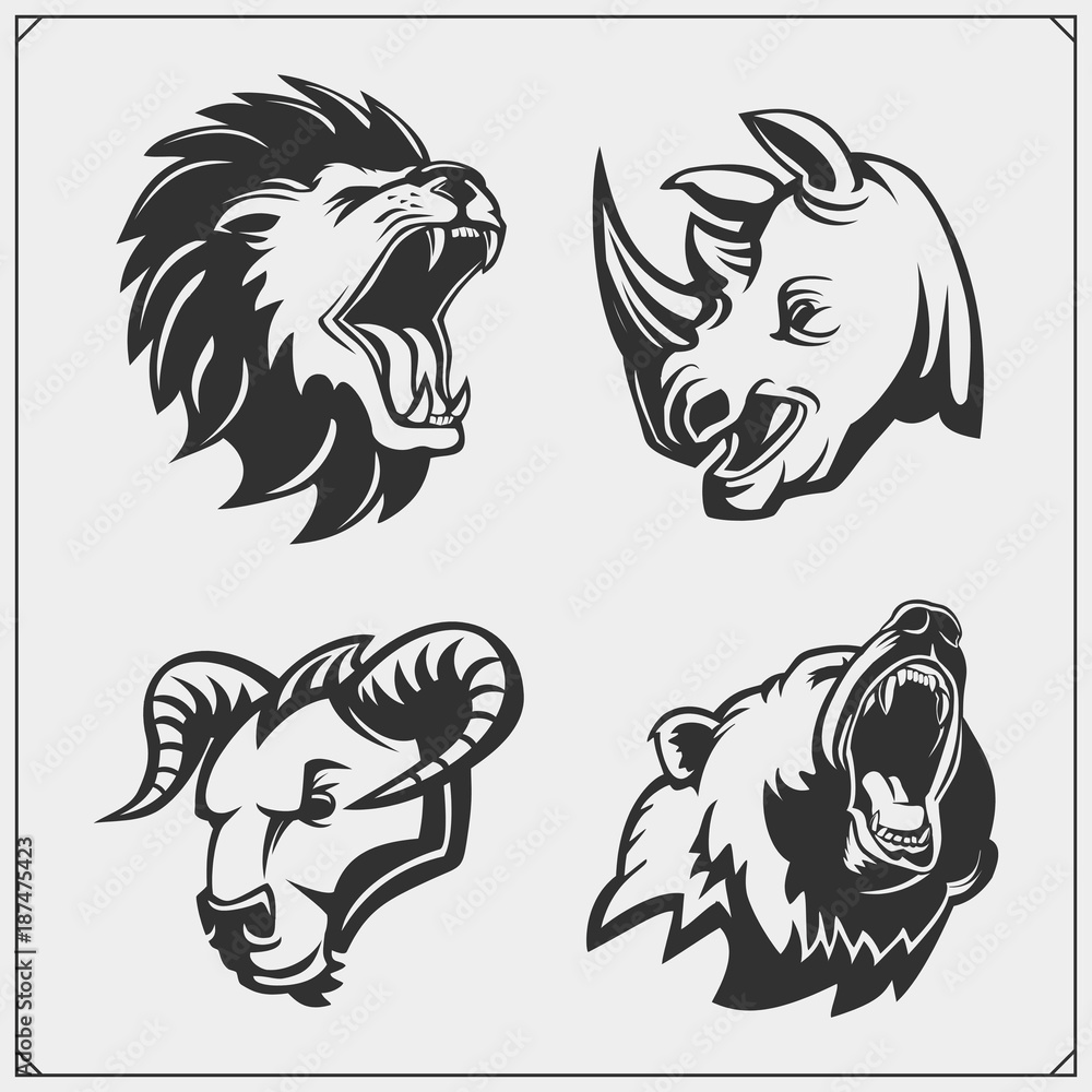 Set of lion, rhino, bear and bull heads.