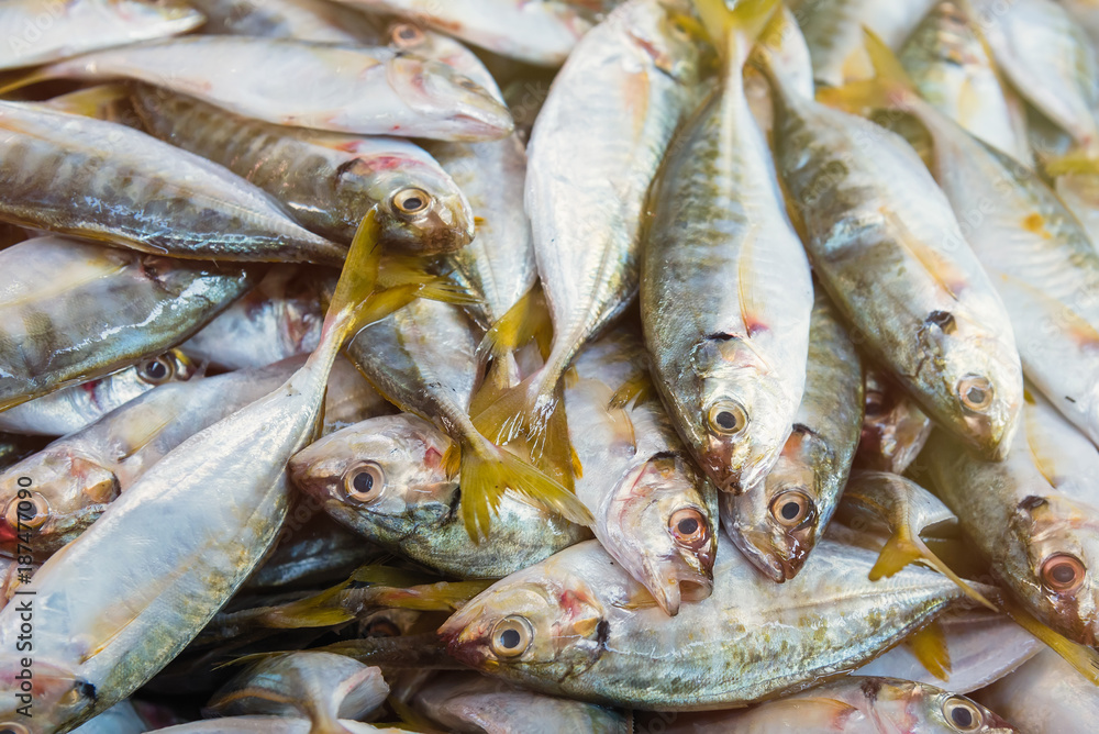 Fototapeta premium Fresh mackerel fish at the fresh market.Thailand.