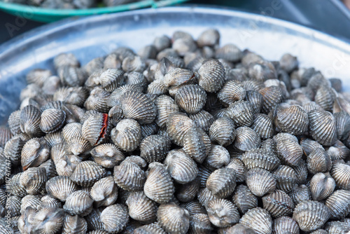 Shellfish in fresh market at ferry of Angsila, Choburi, Thailand.Sea Food. photo