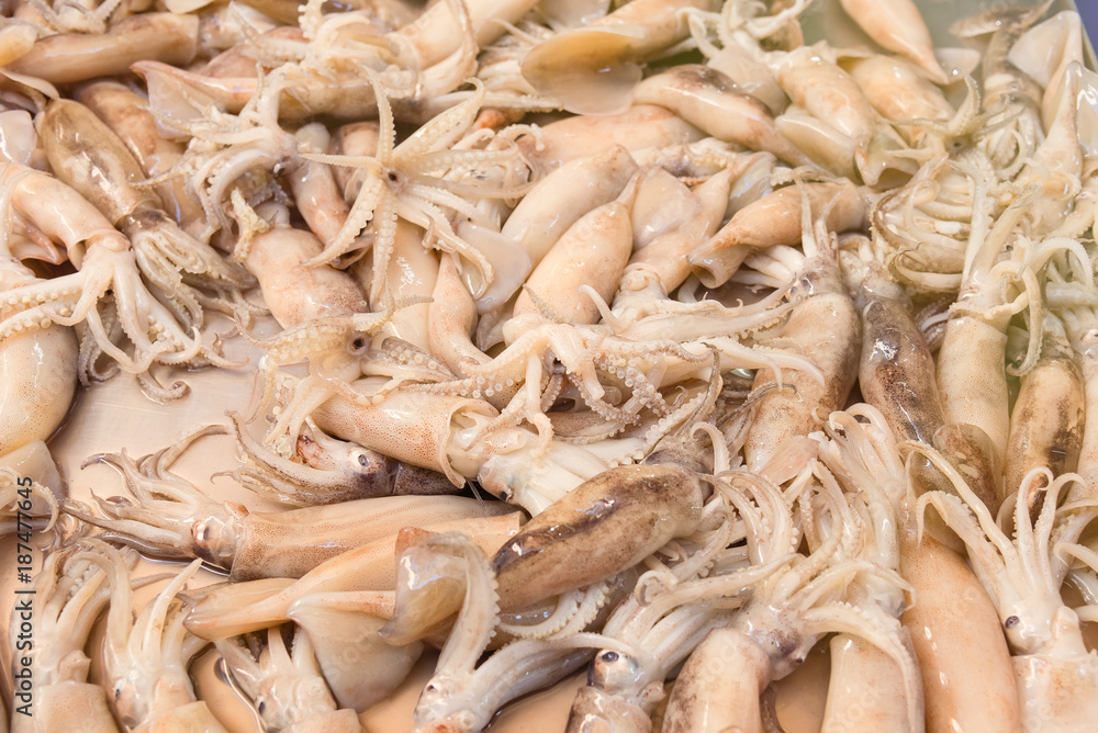 Squid in fresh market at ferry of Angsila, Choburi, Thailand.Sea Food.