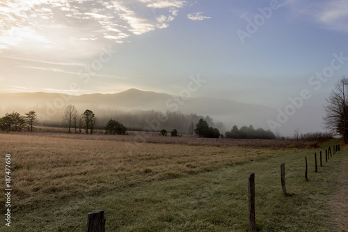 Foggy cades cove morning in great smoky mountains national park