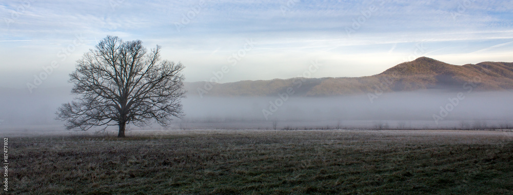 Foggy cades cove morning in great smoky mountains national park Foggy cades cove morning in great smoky mountains national park