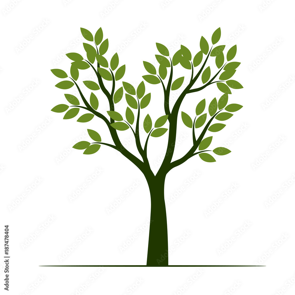 Obraz premium Set Green Trees with Leaves. Vector Illustration.