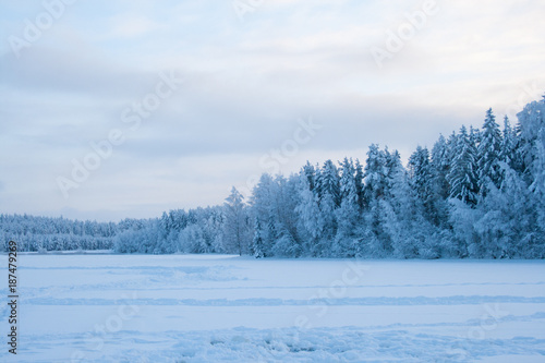 Wallpaper Mural  winter Torontodigital.ca