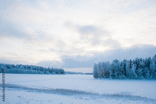 winter © Nikolai Tsvetkov