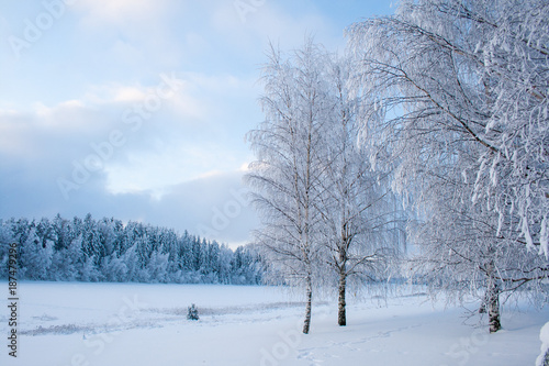 winter © Nikolai Tsvetkov