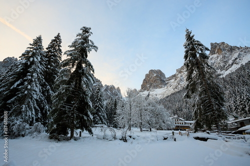 Cant del Gal - Val Canali, nel parco naturale di Paneveggio. sullo sfondo il Sass Maor (gruppo delle Pale di San Martino) photo