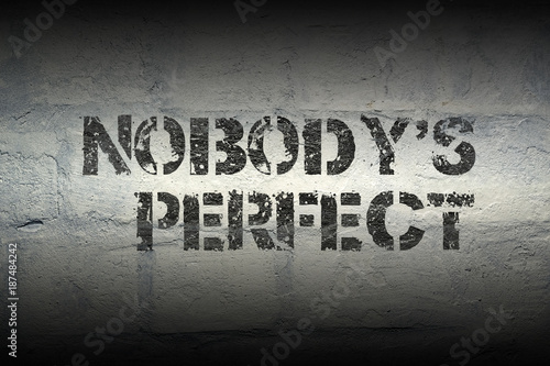 nobody's perfect gr