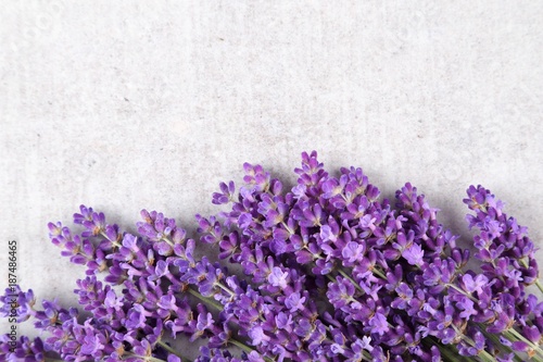 Fototapeta Naklejka Na Ścianę i Meble -  Lavender.