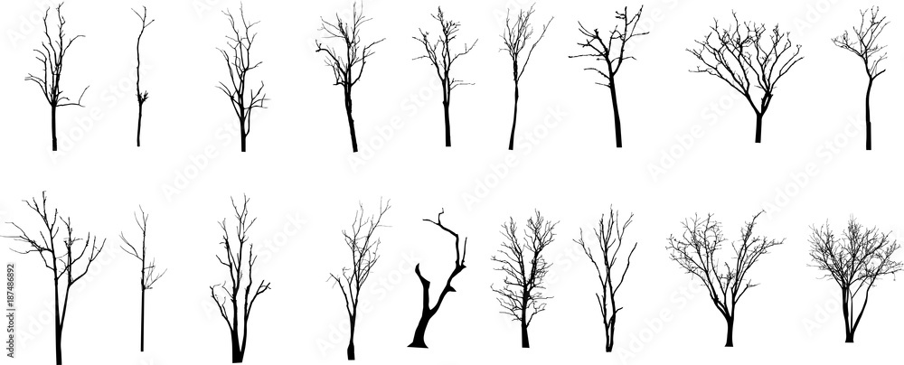 Dead Tree without Leaves Vector - obrazy, fototapety, plakaty 