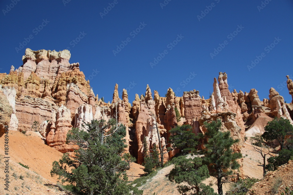 Beautiful Landscape of Bryce Canyon - Utah - USA  
