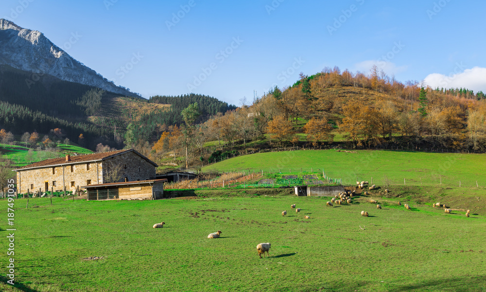 Obraz premium Typical Basque landscape between mountains and animals