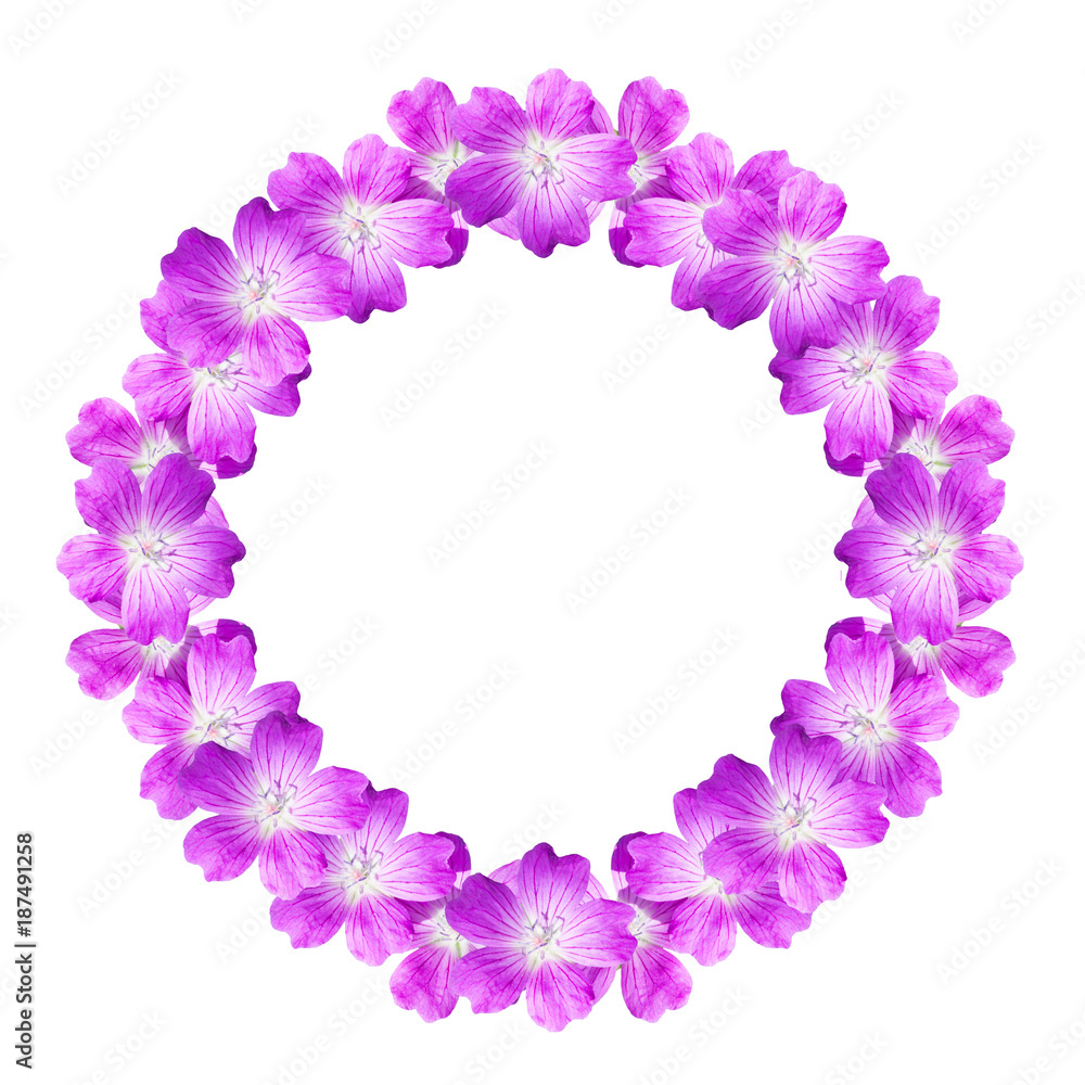 mock up round floral frame from flowers of wild geranium isolated on white background, for text, for phrases, for lettering, for congratulations