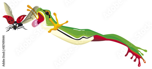 Grenouille verte sautant pour attraper une coccinelle