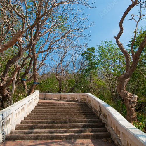 Old and grunge stair step up to forest