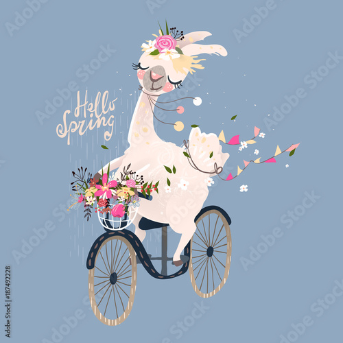 Cute romantic llama, alpaca with floral wreath and hanging flags drive the vintage bicycle with a basket with flowers bouquet. Hello spring lettering