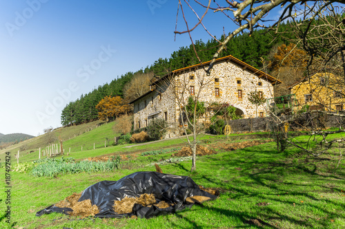 Typical Basque landscape between mountains