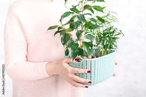 woman holding a plastic container with a green house plant photo