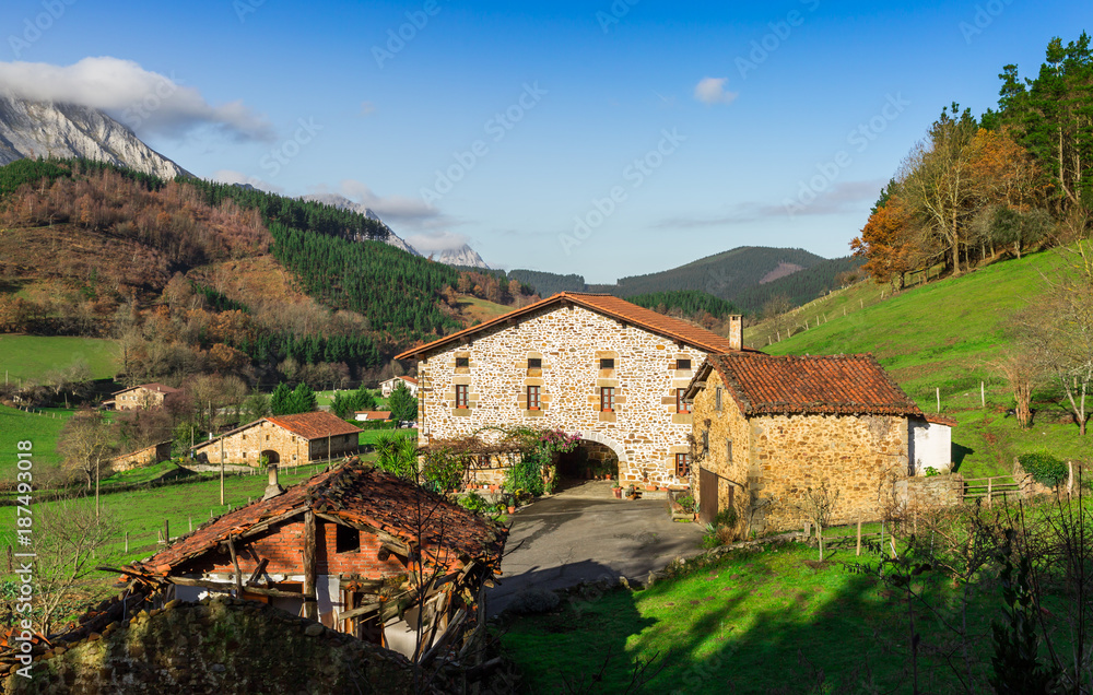 Typical Basque landscape between mountains and animals