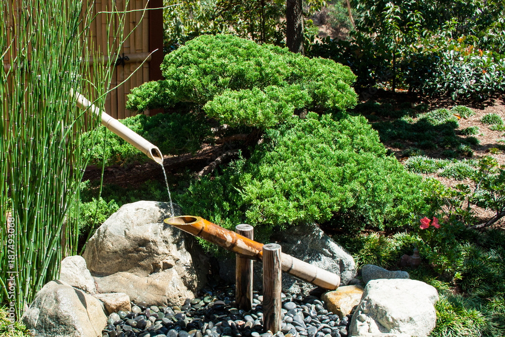 Fototapeta premium Japanese garden
